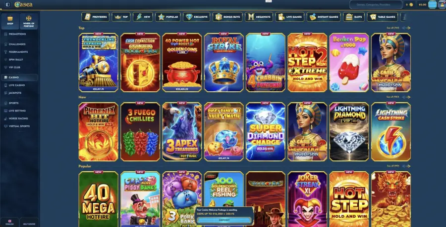 Online Casino main